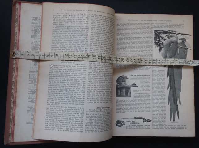 Hrsg.  Ruß, Dr.K. +Illustrator Neunzig,K.   Die gefiederte Welt - vollständiger Jahrgang 1905  