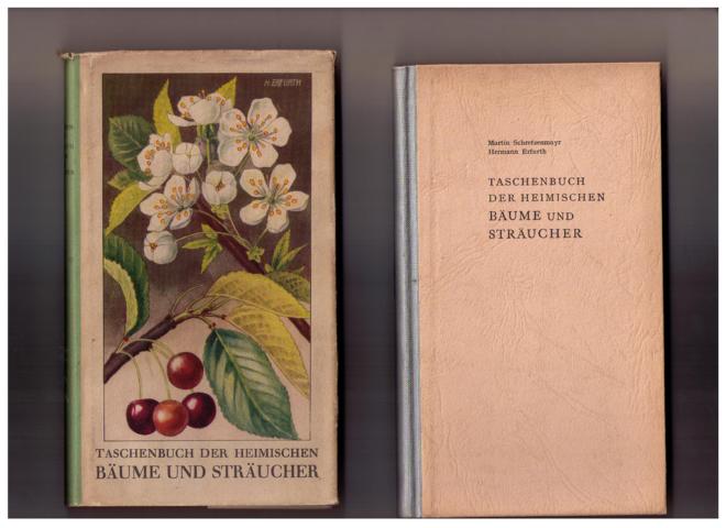 Schretzenmayr , Martin - Erfurth , Hermann    Taschenbuch der heimischen Bäume und Sträucher   