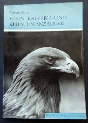Fischer , Wolfgang     Stein - , Kaffern - und Keilschwanzadler  
