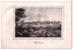 Lithographie aus "Saxonia",    Gesamtansicht Marienberg   