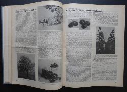 Hrsg. Moil , Franz    Obst - Zeitschrift fr die Gesamtinteressen des sterreichischen Obstbaues  kompletter  6 . ( 1937 und 7. ( 1938 ) Jahrgang   