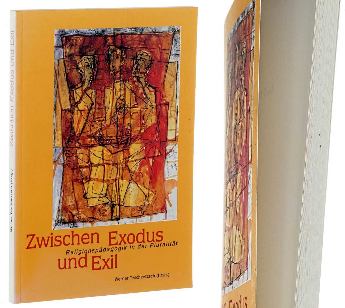 Tzscheetzsch, Werner (Hg.):  Zwischen Exodus und Exil. Religionspädagogik in der Pluralität. 