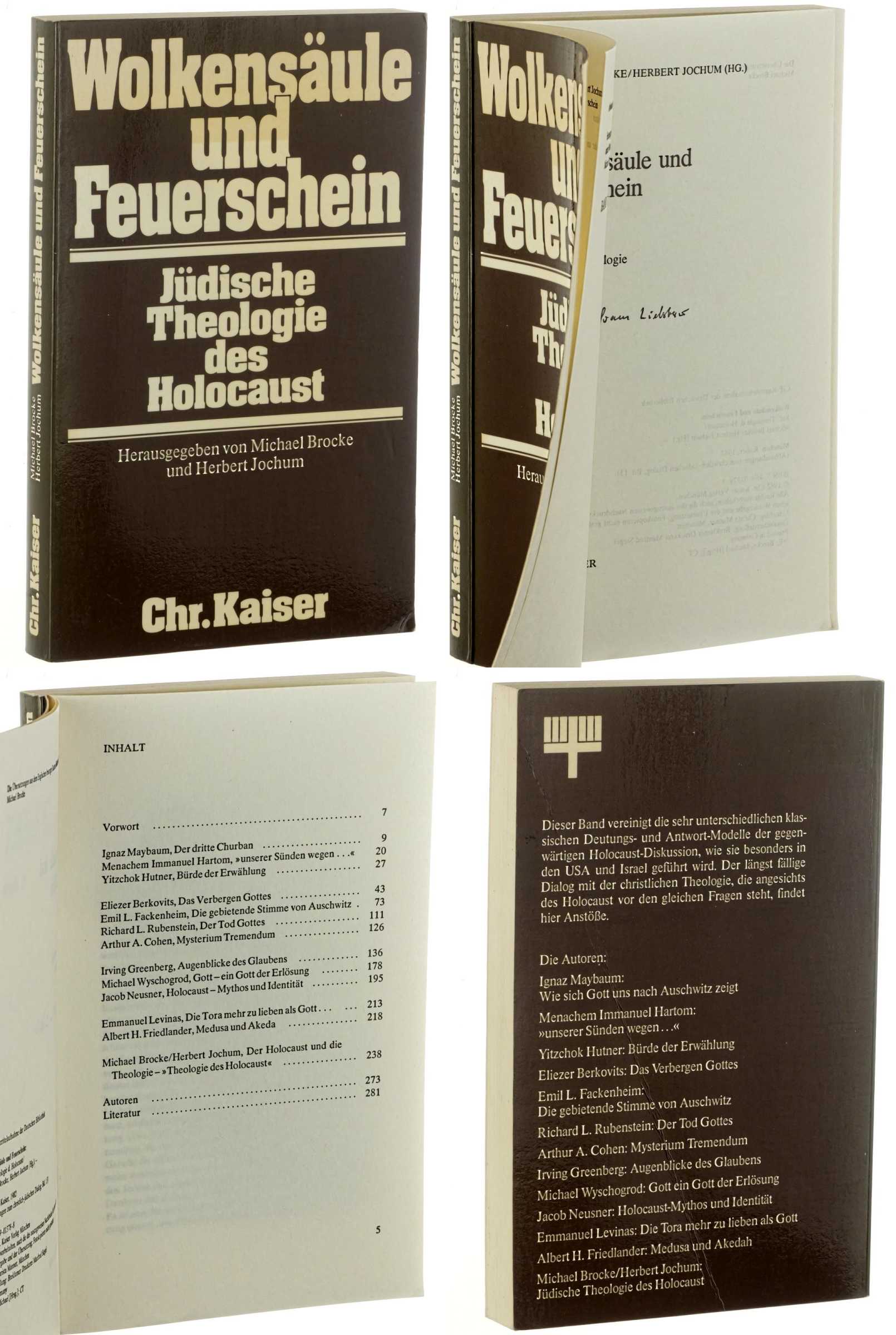   Wolkensäule und Feuerschein. Jüdische Theologie des Holocaust. 