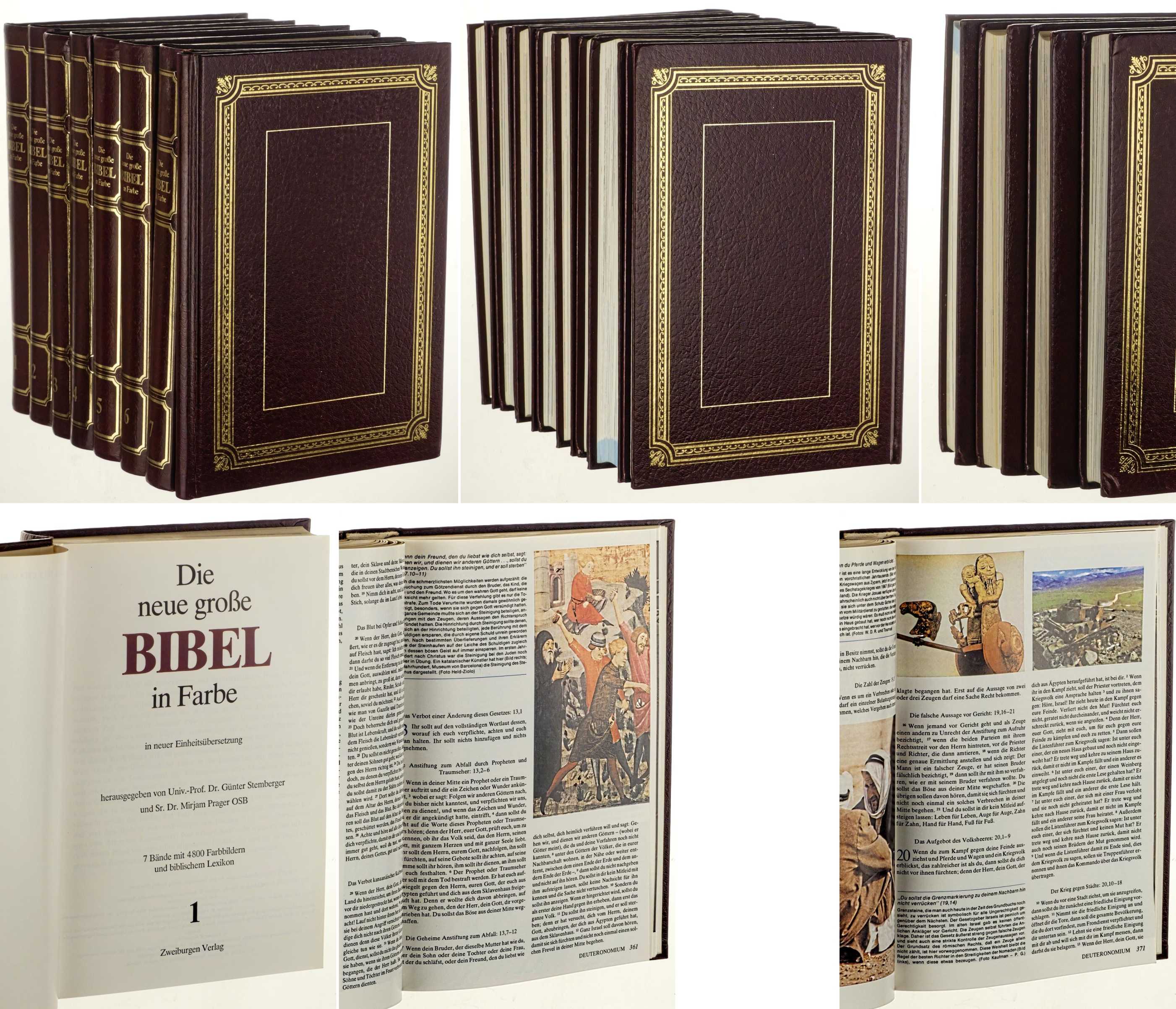   Die neue große Bibel in Farbe. In neuer Einheitsübersetzung 7 Bände mit 4800 Farbbildern und biblischem Lexikon. 