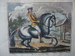 Ridinger, Johann Elias  Terre á Terre á Droite 