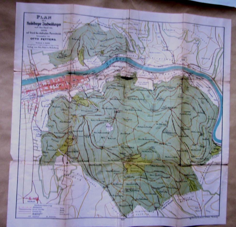 Petters, Otto:  (Mehrfach gefalteter farbiger) Plan der Heidelberger Stadtwaldungen nach dem Stand von 1896 auf Grund des städtischen Planmaterials. Maßstab 1:16.000. 