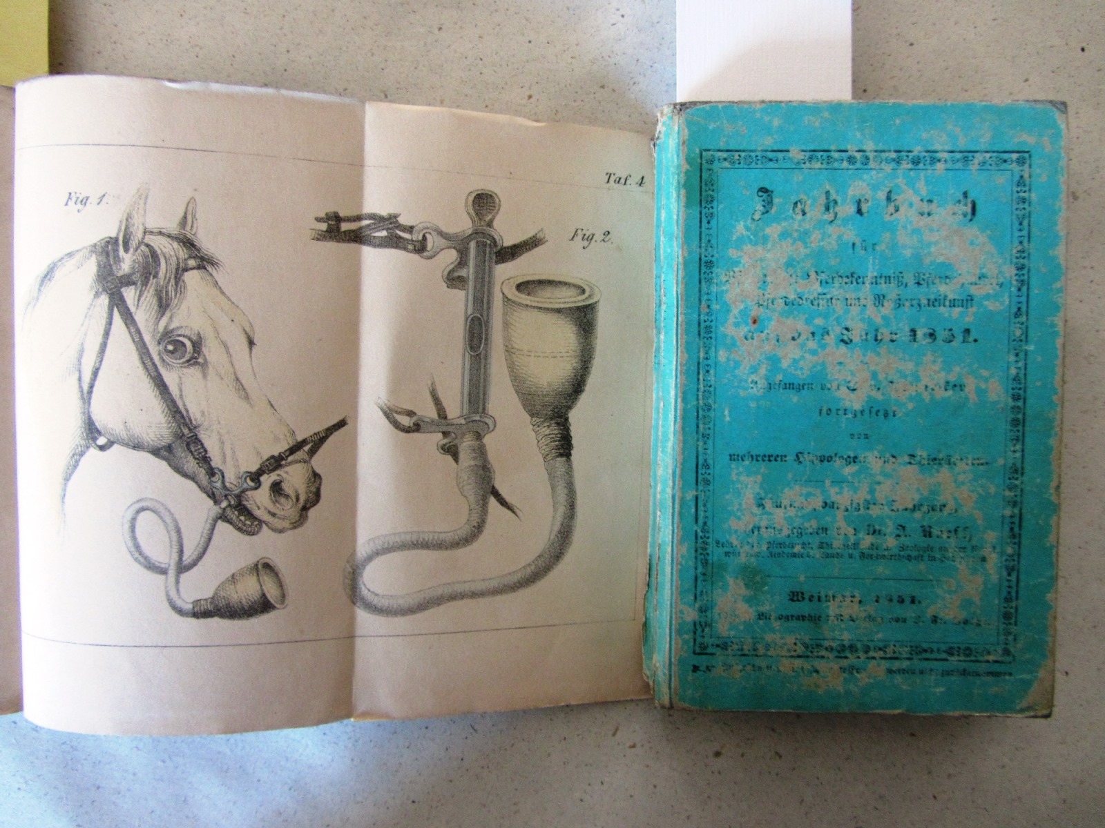 Tennecker, S.v. und A. Rueff:  Jahrbuch für Pferdezucht, Pferdekenntis, Pferdehandel, Dressur, Reitkunst und Roßarzneikunde auf das Jahr 1852. 