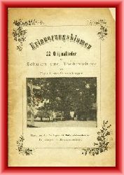 Hofer-Schneeberger, G.  Erinnerungsblumen. 22 Originallieder fr Schulen und Tchterchre. 