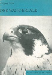 Fischer, Wolfgang  Der Wanderfalk. Falco peregrinus und F. pelegrinoides. (Neue Brehm-BÃ¼cherei Heft 380)  