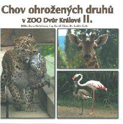 HoleckovÃ¡, CihÃ¡k, CulÃ­k  Breeding of endangered species in Zoo Dvur KrÃ¡lovÃ© II. (Persian leopard, Giraffes, Flamingos) 
