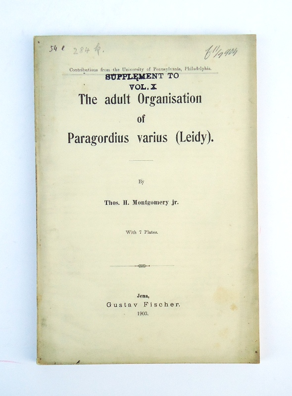 Montgomery, Thos. H.  The adult Organisation of Paragordius varius (Leidy). 