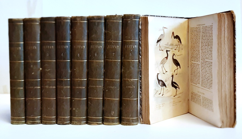 Buffon, Georges Louis Le Clerc de  Oeuvres complètes de Buffon avec les supplémens, augmentées de la classification de G. Cuvier et accompagnées de 700 vignettes gravées sur acier, représentant au moins 900 animaux. 9 vols. Komplett in 9 Bänden. 