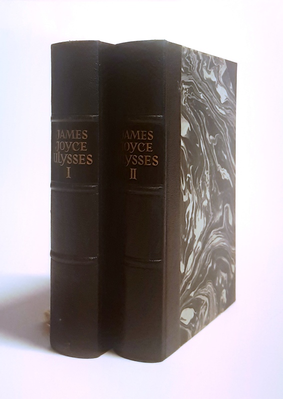 Joyce, James  HALBLEDERAUSGABE - Ulysses. Komplett in 2 Bänden. 