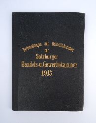 Salzburg -  Protokolle ber die Sitzungen der Handels- und Gewerbekammer fr das Herzogtum Salzburg im Jahre 1913. 