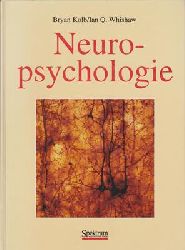 Kolb, Brian / Whishaw, Ian Q.  Neuropsychologie 