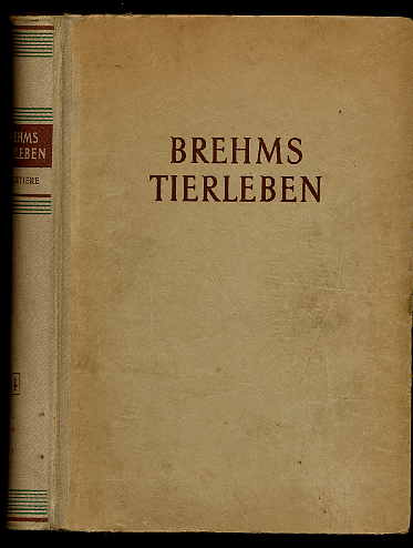 Rammner , Walter:  Brehms Tierleben. Völlig neu bearbeitet (nur) Bd. 4 Säugetiere. 