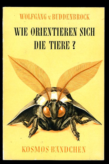 Buddenbrock-Hettersdorff, Wolfgang von:  Wie orientieren sich die Tiere? Gesellschaft der Naturfreunde. Kosmos-Bändchen 212. 