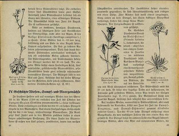 Schoenichen, Walther:  Die in Deutschland geschützten Pflanzen nach der Naturschutzverordnung vom 18. März 1936. Reichsstelle für Naturschutz. 