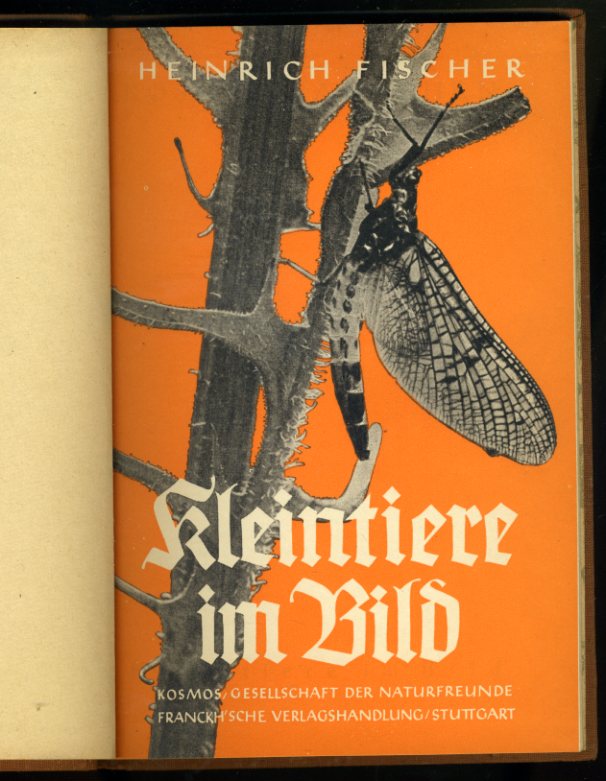 Fischer, Heinrich:  Kleintiere im Bild. 64 Bilder nach Originalaufnahmen von Heinrich Fischer-Roth. Kosmos. Gesellschaft der Naturfreunde. Kosmos-Bändchen 140. 
