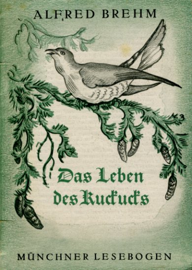 Brehm, Alfred Edmund:  Das Leben des Kuckucks. Münchner Lesebogen 65. 