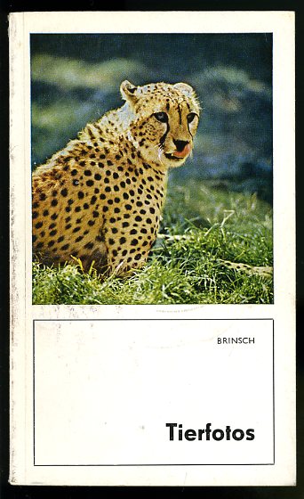 Brinsch, Roland:  Tierfotos. 