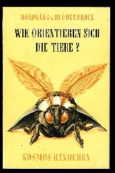 Buddenbrock-Hettersdorff, Wolfgang von:  Wie orientieren sich die Tiere? Gesellschaft der Naturfreunde. Kosmos-Bndchen 212. 