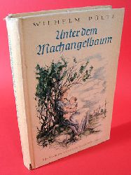 Pltz, Wilhelm:  Unter dem Machangelbaum. 