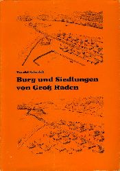 Schuldt, Ewald:  Burg und Siedlung von Gro Raden. Bildkataloge des Museums fr Ur- und Frhgeschichte Schwerin Bd. 21. 