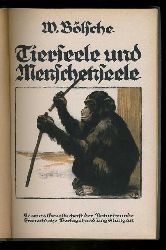 Blsche, Wilhelm:  Tierseele und Menschenseele. Kosmos. Gesellschaft der Naturfreunde. Kosmos Bibliothek 97. 