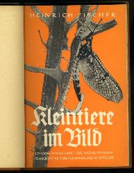 Fischer, Heinrich:  Kleintiere im Bild. 64 Bilder nach Originalaufnahmen von Heinrich Fischer-Roth. Kosmos. Gesellschaft der Naturfreunde. Kosmos-Bndchen 140. 