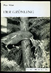 Blmel, Hans:  Der Grnling. Carduelis chloris. Die neue Brehm-Bcherei 490. 