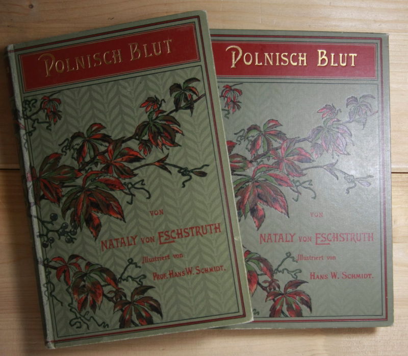 Eschstruth, Nataly  Polnisch Blut, 1. und 2. Teil. 