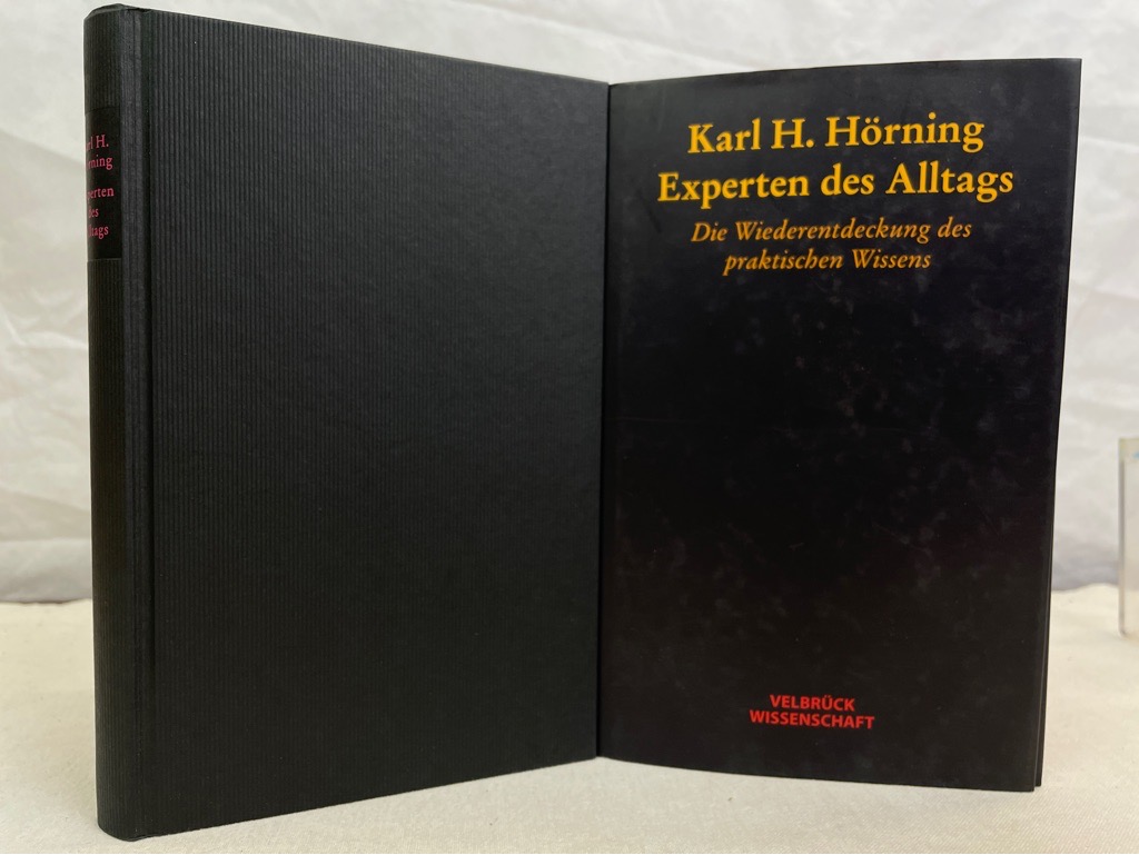 Hörning, Karl H.:  Experten des Alltags : die Wiederentdeckung des praktischen Wissens. 