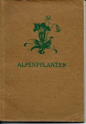 Flaig, Walther  Alpenpflanzen - Die Pflanzenwelt im Hochgebirge in ihrer Umwelt dargestellt nach naturgetreuen Zeichnungen und Photographien 