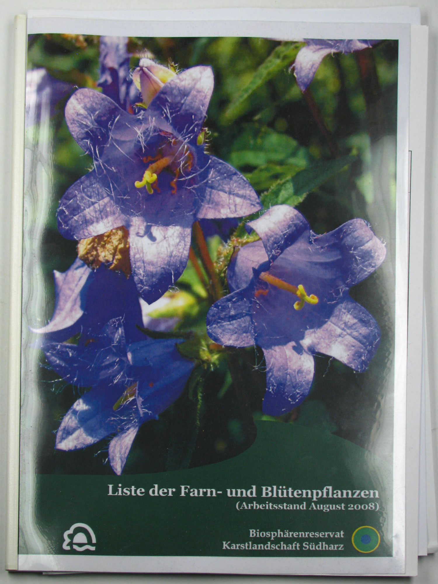 Hoch, A.:  Liste der Farn- und Blütenpflanzen im Biosphärenreservat Karstlandschaft Südharz i. G. 