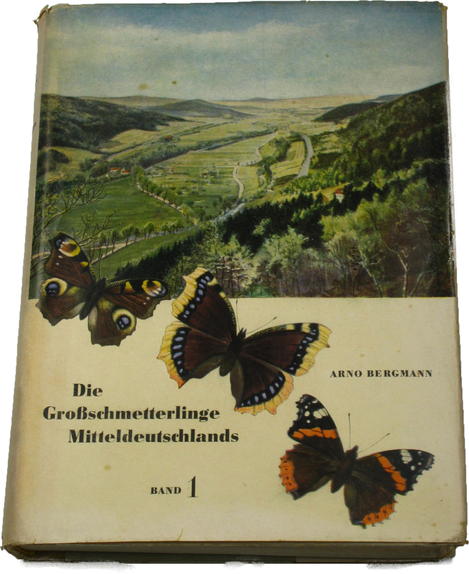 Bergmann, Arno:  Die Großschmetterlinge Mitteldeutschlands (Band 1). Die Natur Mitteldeutschlands und ihre Schmetterlingsgesellschaften. 