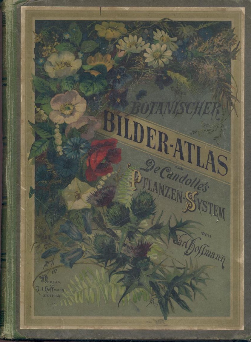 Hoffmann, Carl  Botanischer Bilder-Atlas nach De Candolle's natürlichem Pflanzen-System. 