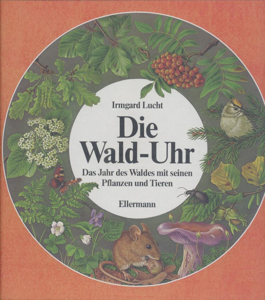 Lucht, Irmgard  Die Wald-Uhr. Das Jahr des Waldes mit seinen Pflanzen und Tieren. 