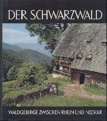   Der Schwarzwald. Waldgebirge zwischen Rhein und Neckar. 