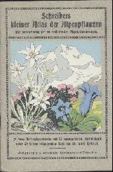 Schreibers Kleine Atlanten - Maisch, Karl  Schreibers kleiner Atlas der Alpenpflanzen. Mit Bezeichnung der zu schtzenden Alpenpflanzenarten. 