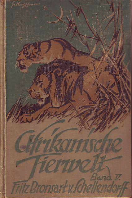 Bronsart von Schellendorff, Fritz:  Afrikanische Tierwelt. Band 5 V. Löwen 2 II. 