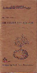 Vogel, Hellmut:  Die Kultur der Azaleen. Rhododendron simsii Rlanch. 