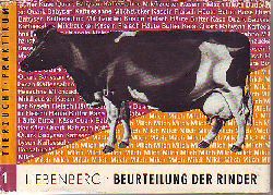 Liebenberg, Otto:  Beurteilung der Rinder. 