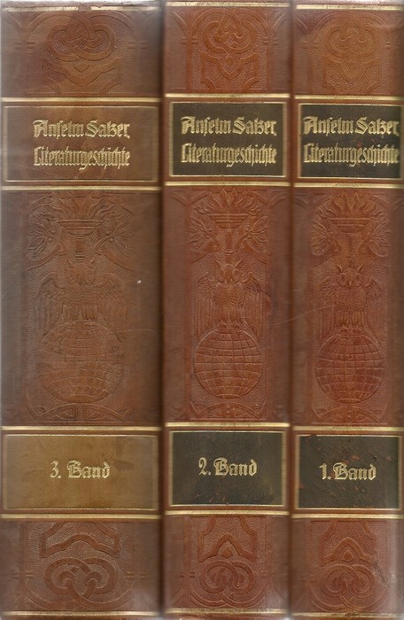 Salzer, Anselm Prof. Dr.  Illustrierte Geschichte der deutschen Literatur von den ältesten Zeiten bis zur Gegenwart 