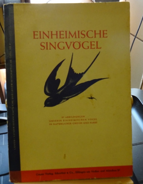 Jacobs, Werner  Einheimische Singvögel (57 Abb. unserer einheimischen Vögel in natürlicher Grösse u. Farbe) 