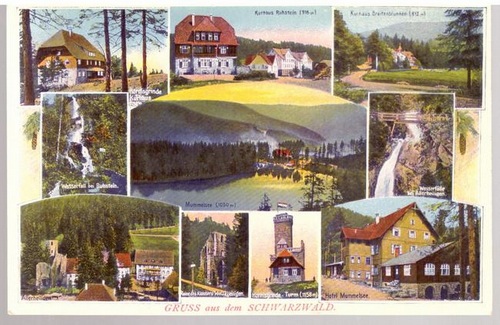   Ansichtskarte Gruss aus dem Schwarzwald. (10 Motive) (Kurhaus Ruhstein, Breitenbrunnen, Hornisgrinde, Allerheiligen, Mummelsee...) 