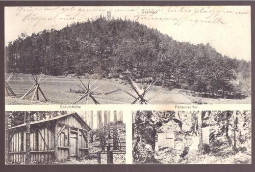   Ansichtskarte AK Ossinger, Schutzhütte, Felsenkeller (Bischofsreuth) 