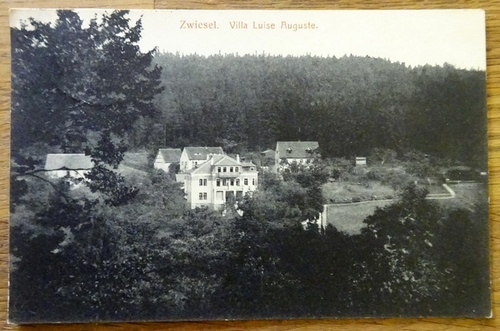   Ansichtskarte AK Zwiesel. Villa Luise Auguste 