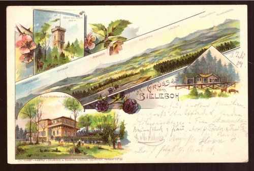   Ansichtskarte AK Litho Grüsse vom Biebeloh (4 Motive. Höhe incl. Turm, Berg-Restaurant etc.) 