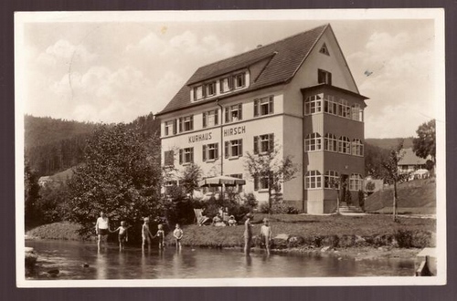  Ansichtskarte AK Enzklösterle Gasthof und Kurhaus zum Hirsch 